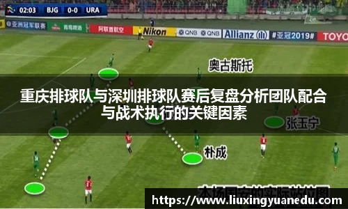 重庆排球队与深圳排球队赛后复盘分析团队配合与战术执行的关键因素