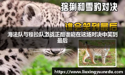 海法队与穆拉队激战正酣谁能在这场对决中笑到最后