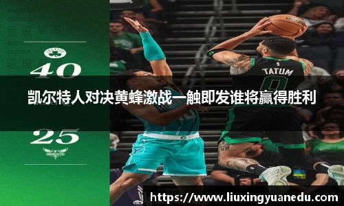 凯尔特人对决黄蜂激战一触即发谁将赢得胜利